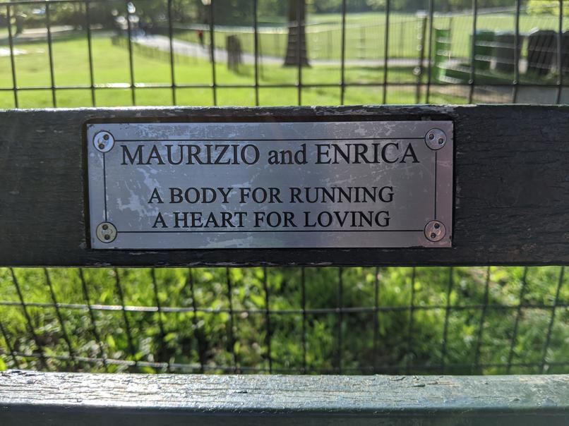 I saw this bench in Central Park