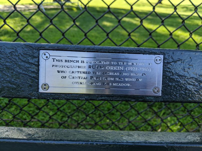 I saw this bench in Central Park