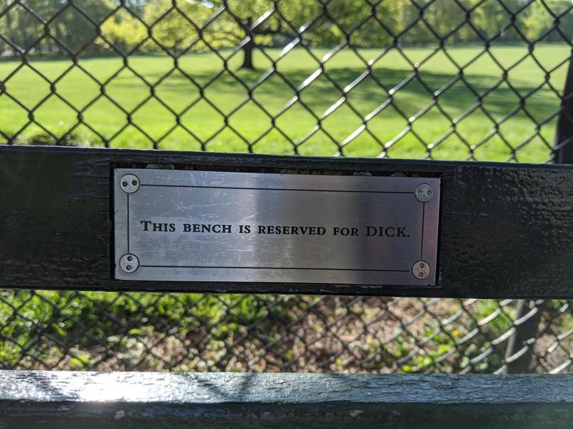 I saw this bench in Central Park