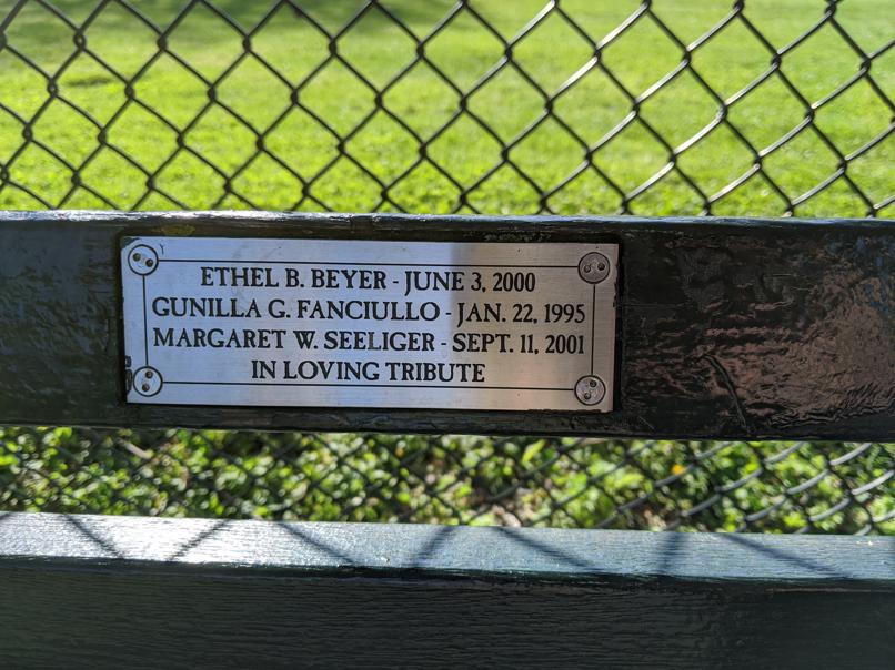 I saw this bench in Central Park