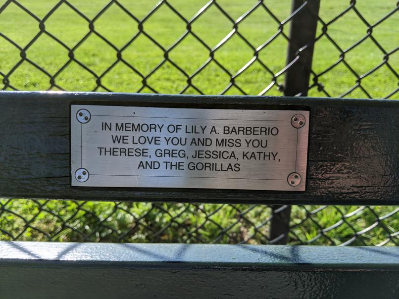 I saw this bench in Central Park