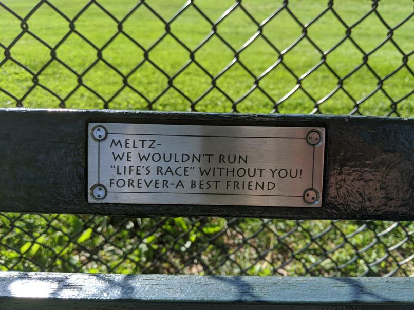 I saw this bench in Central Park