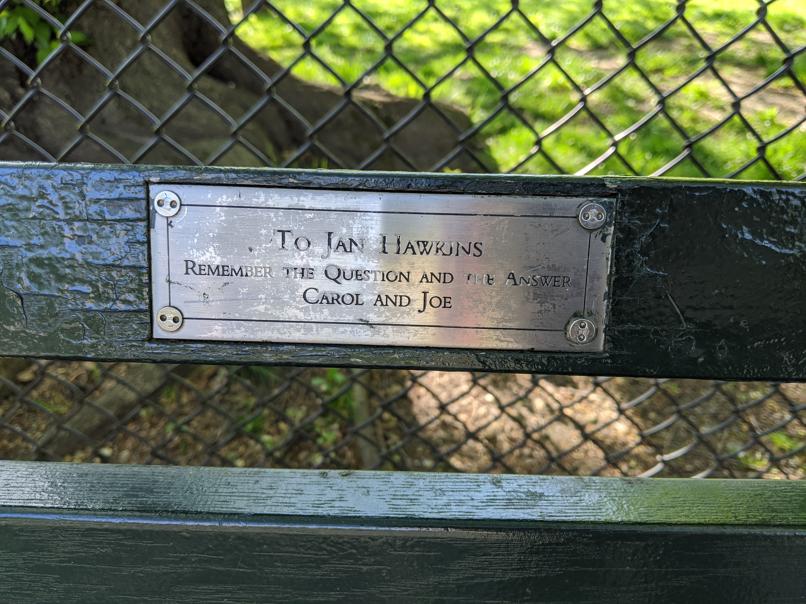 I saw this bench in Central Park