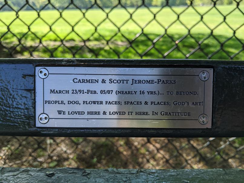 I saw this bench in Central Park