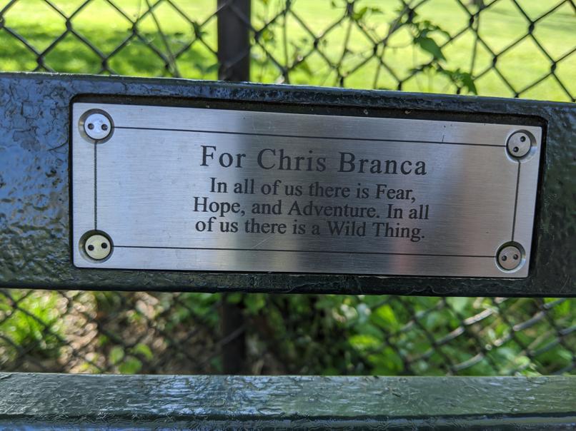 I saw this bench in Central Park