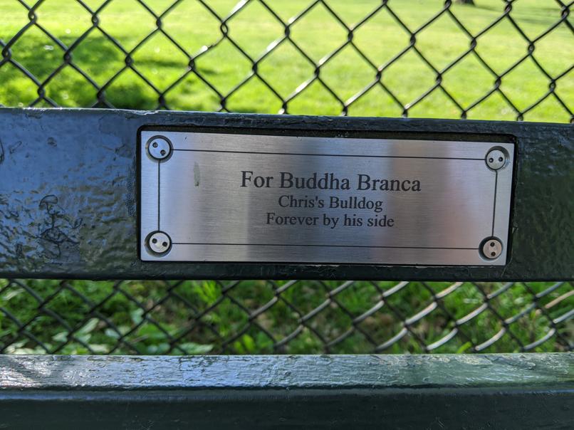 I saw this bench in Central Park