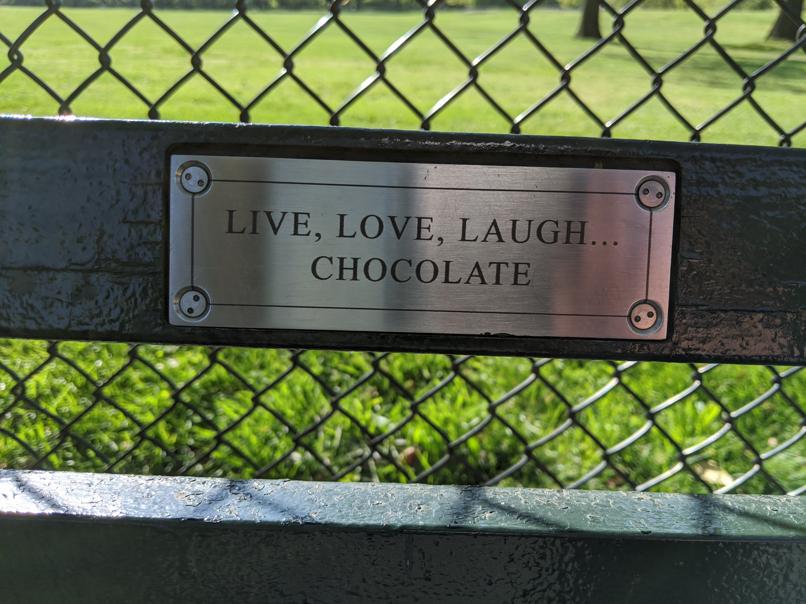 I saw this bench in Central Park