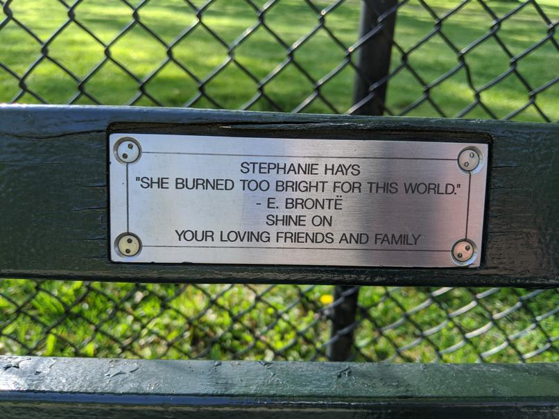 I saw this bench in Central Park