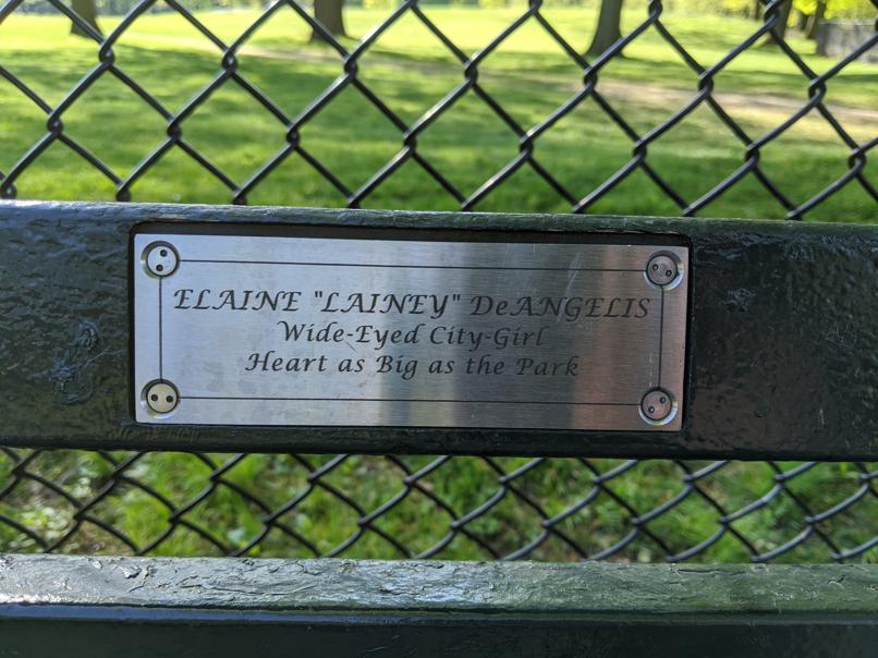 I saw this bench in Central Park