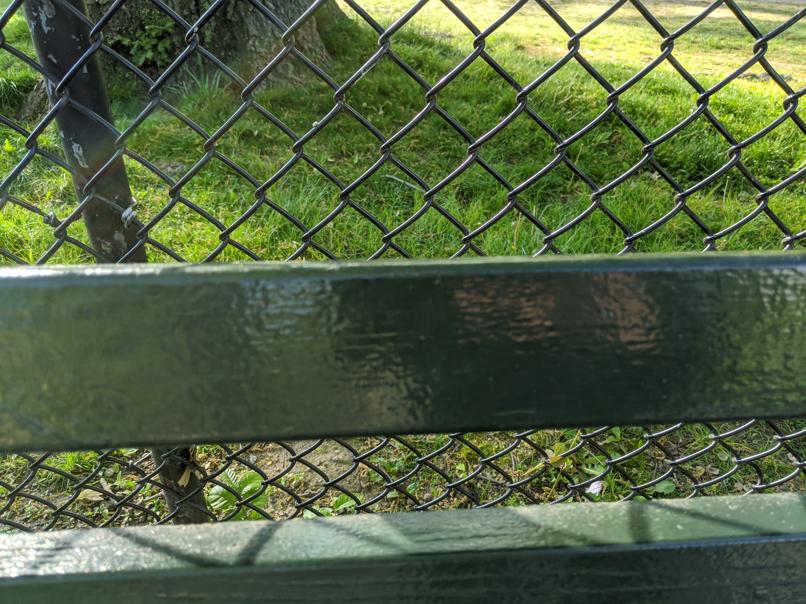 I saw this bench in Central Park