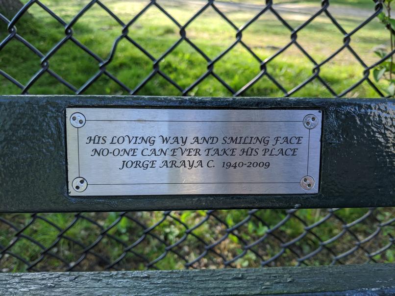 I saw this bench in Central Park