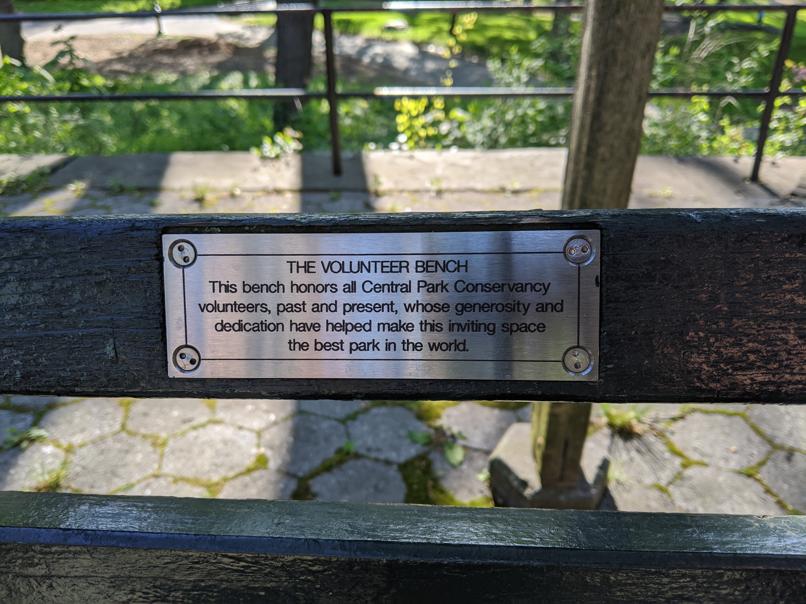 I saw this bench in Central Park