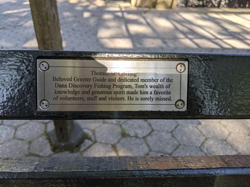 I saw this bench in Central Park