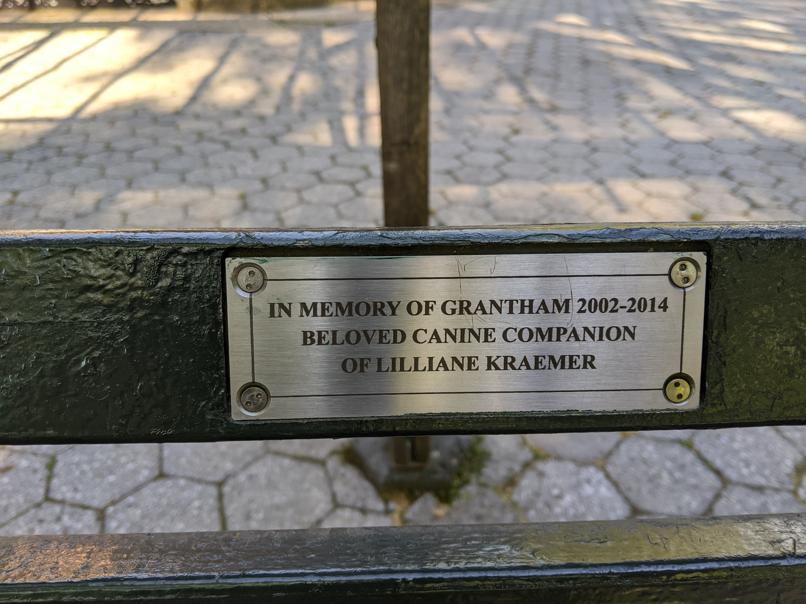 I saw this bench in Central Park