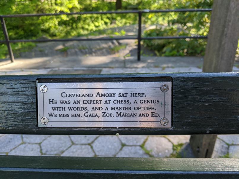 I saw this bench in Central Park