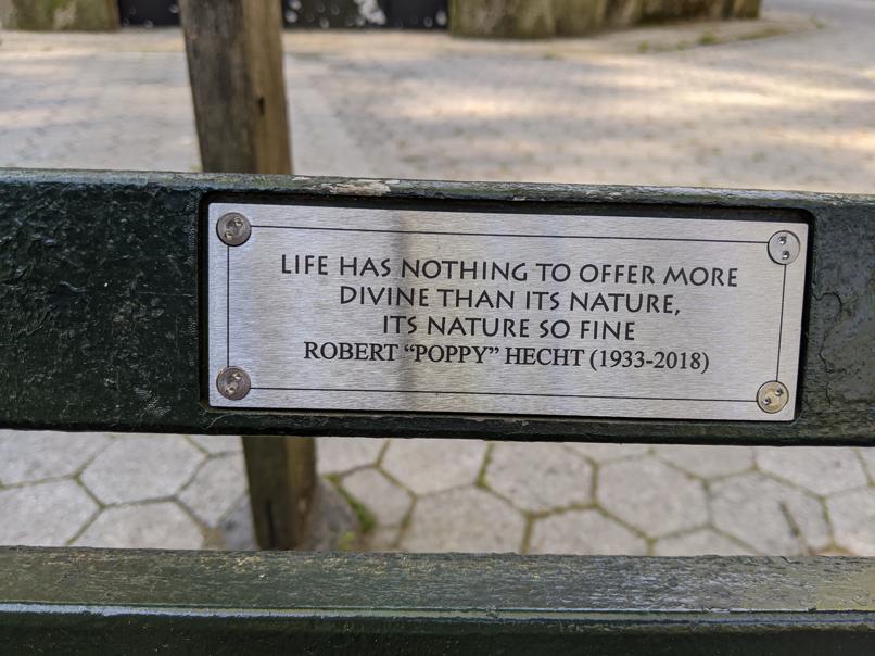 I saw this bench in Central Park