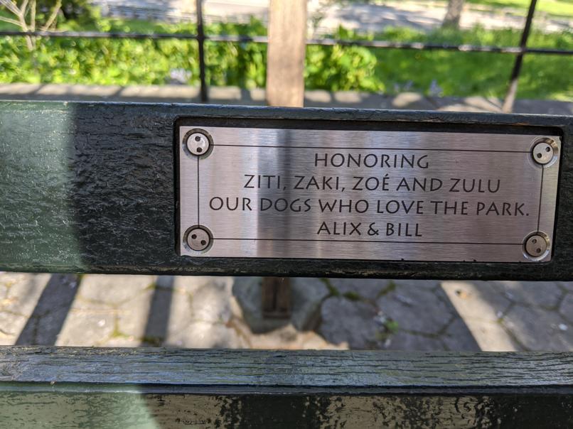 I saw this bench in Central Park