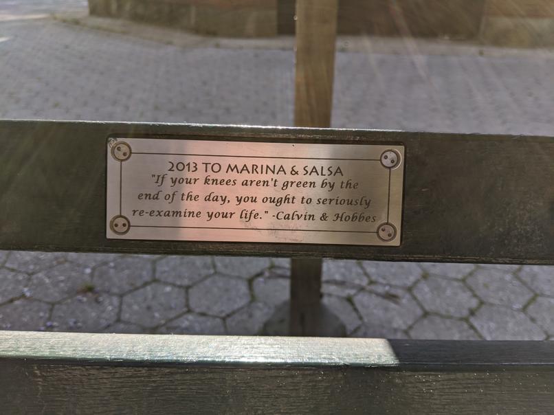 I saw this bench in Central Park