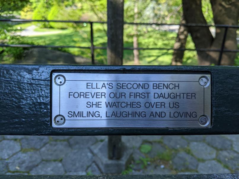 I saw this bench in Central Park