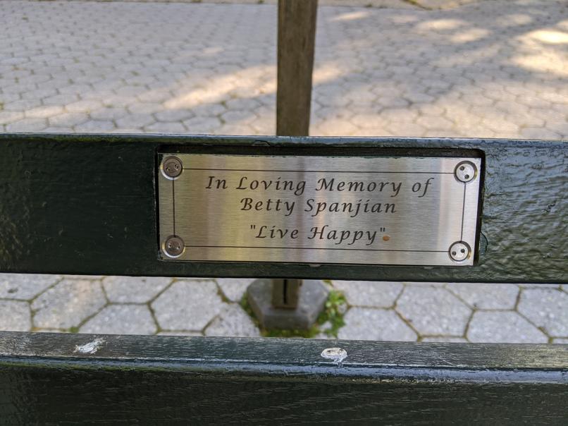 I saw this bench in Central Park