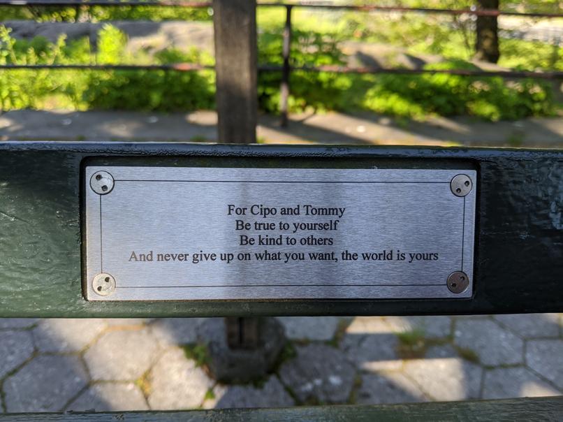 I saw this bench in Central Park