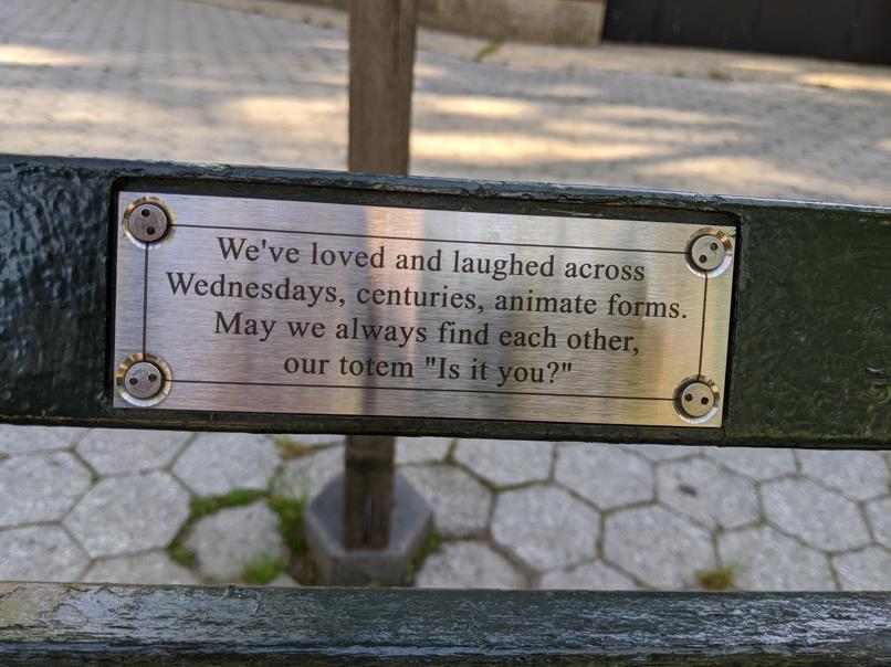 I saw this bench in Central Park