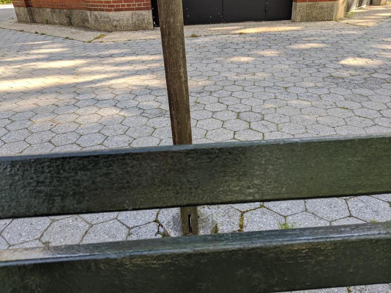 I saw this bench in Central Park