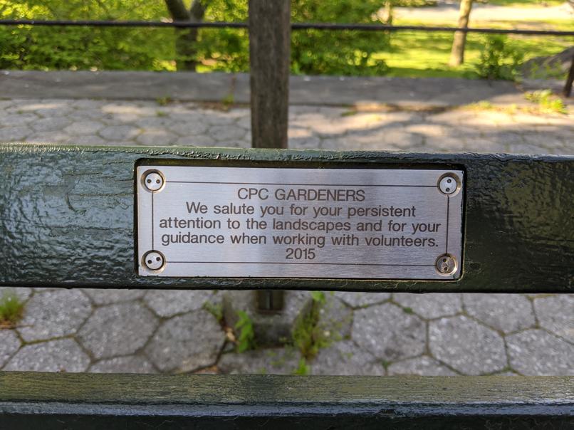 I saw this bench in Central Park