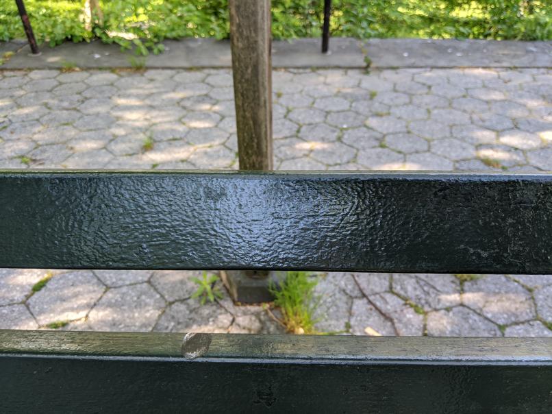 I saw this bench in Central Park