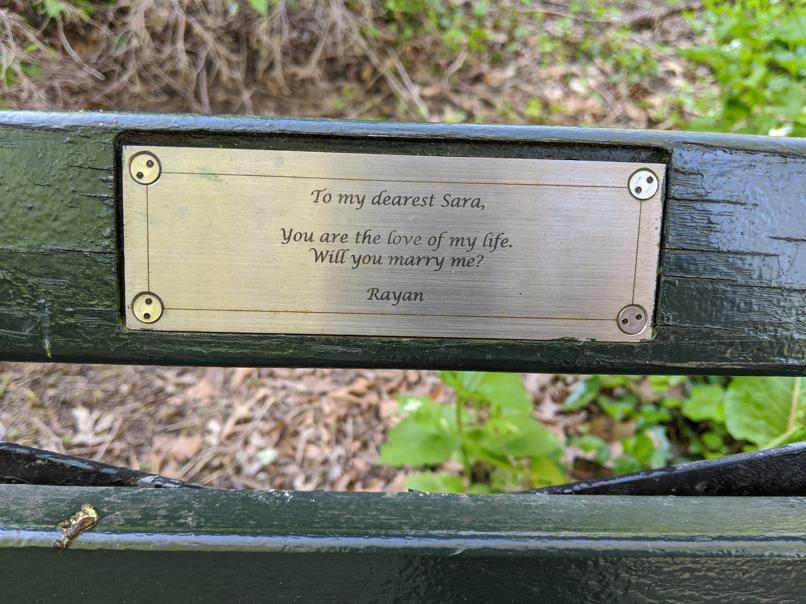 I saw this bench in Central Park