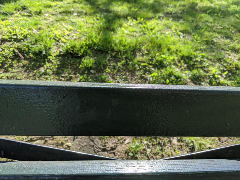 I saw this bench in Central Park