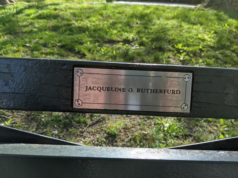 I saw this bench in Central Park