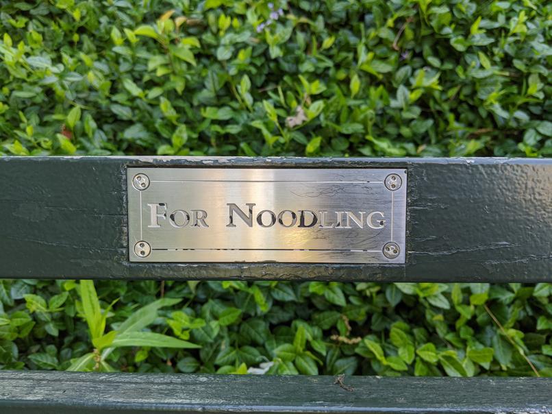 I saw this bench in Central Park