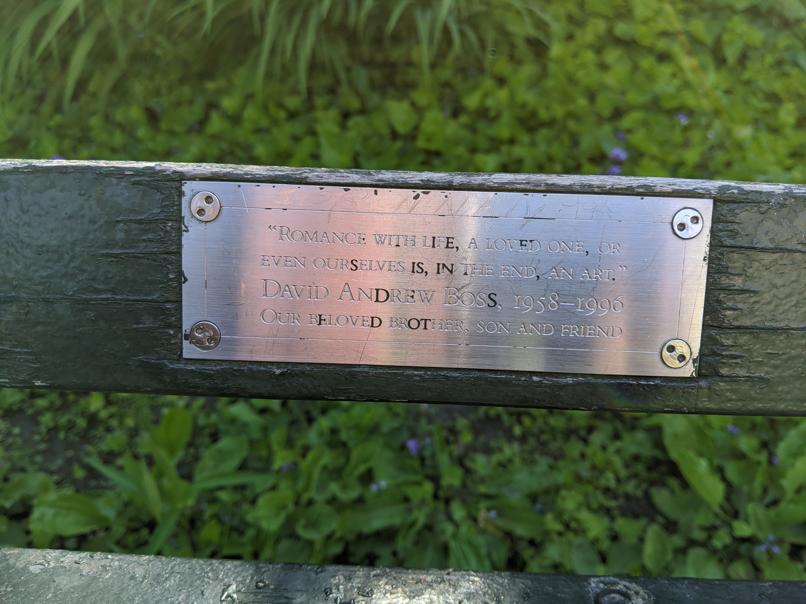 I saw this bench in Central Park