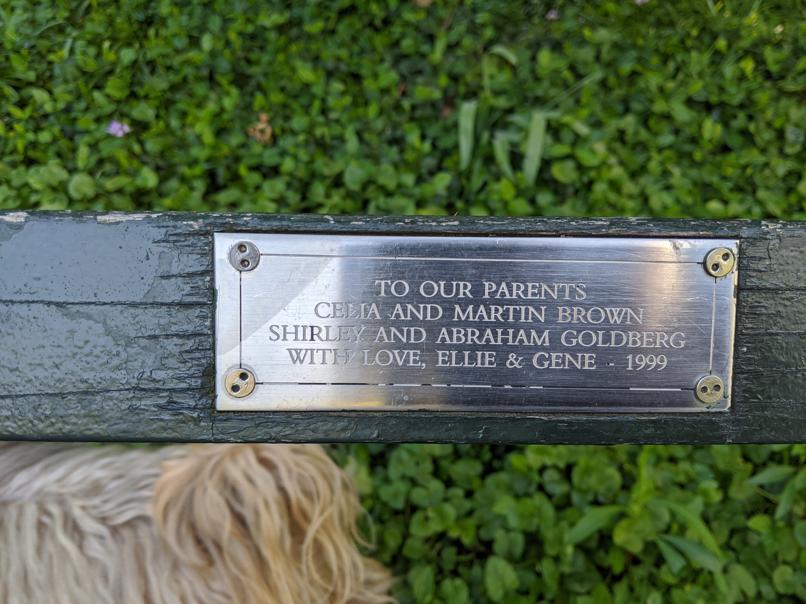 I saw this bench in Central Park