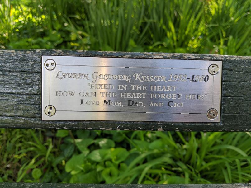 I saw this bench in Central Park