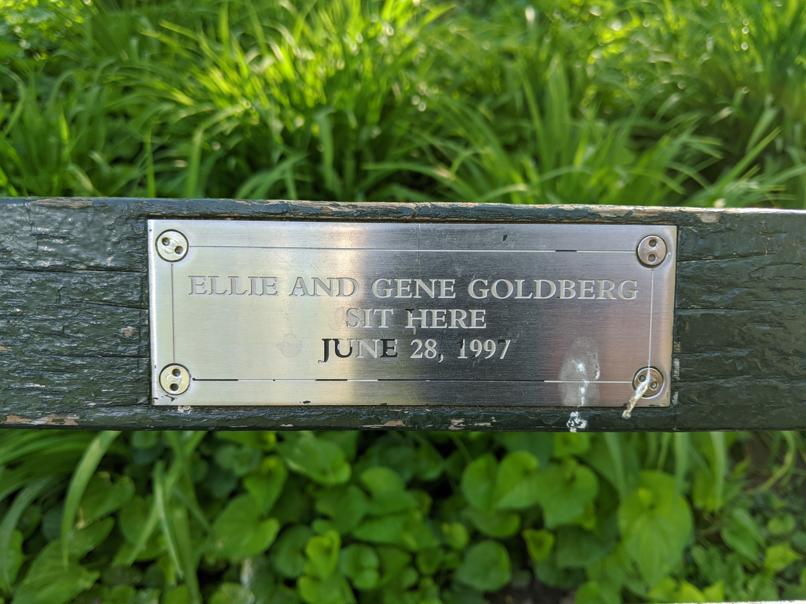 I saw this bench in Central Park