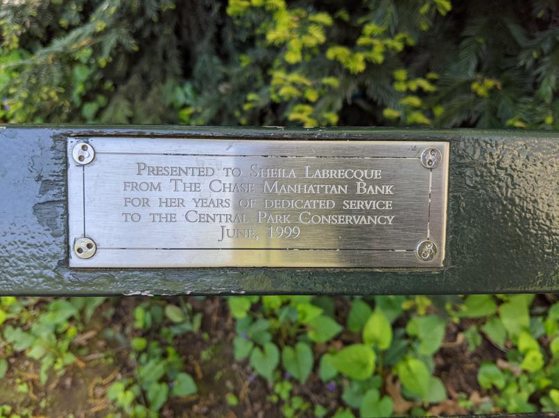 I saw this bench in Central Park