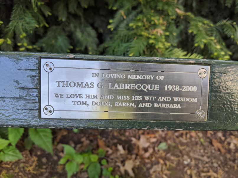 I saw this bench in Central Park