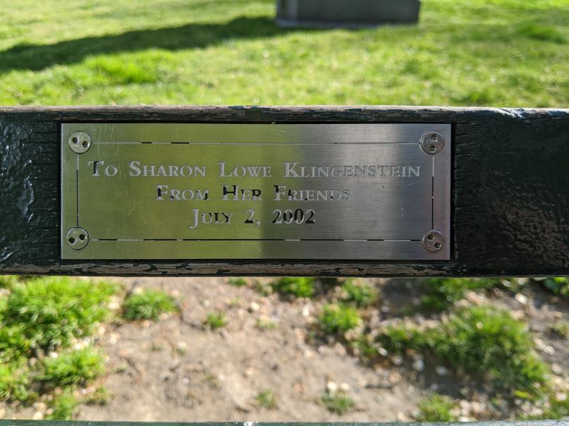 I saw this bench in Central Park