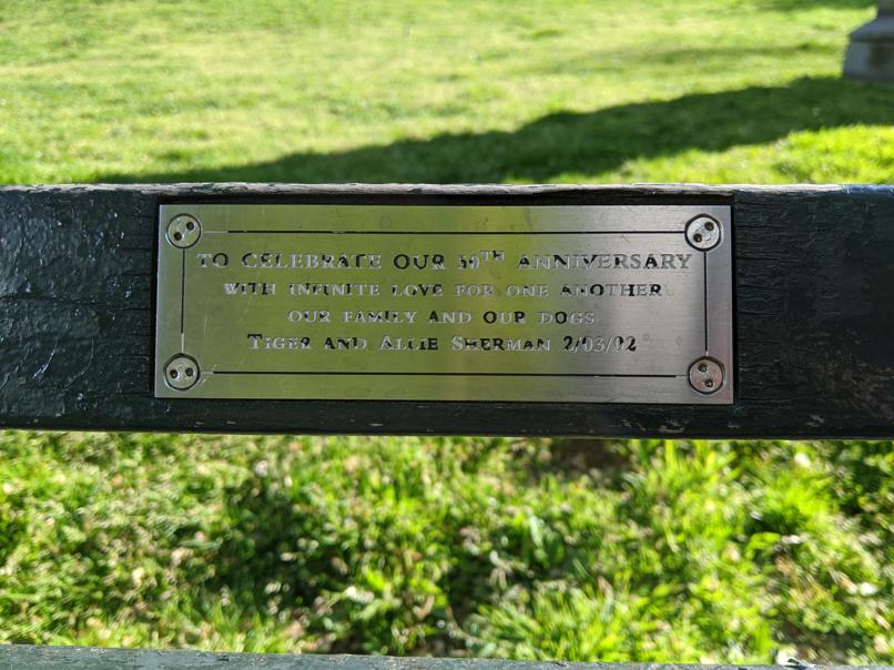 I saw this bench in Central Park