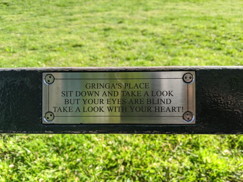 I saw this bench in Central Park