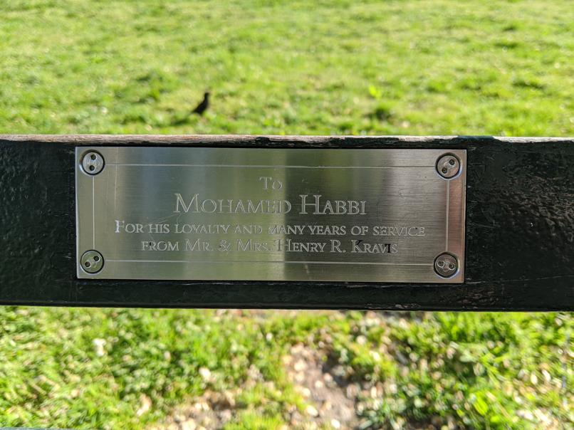 I saw this bench in Central Park