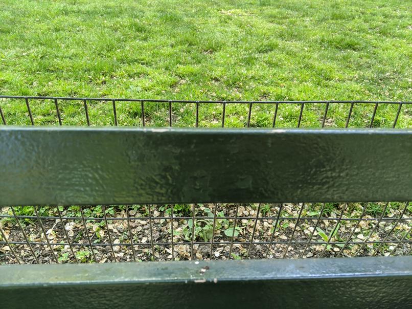 I saw this bench in Central Park