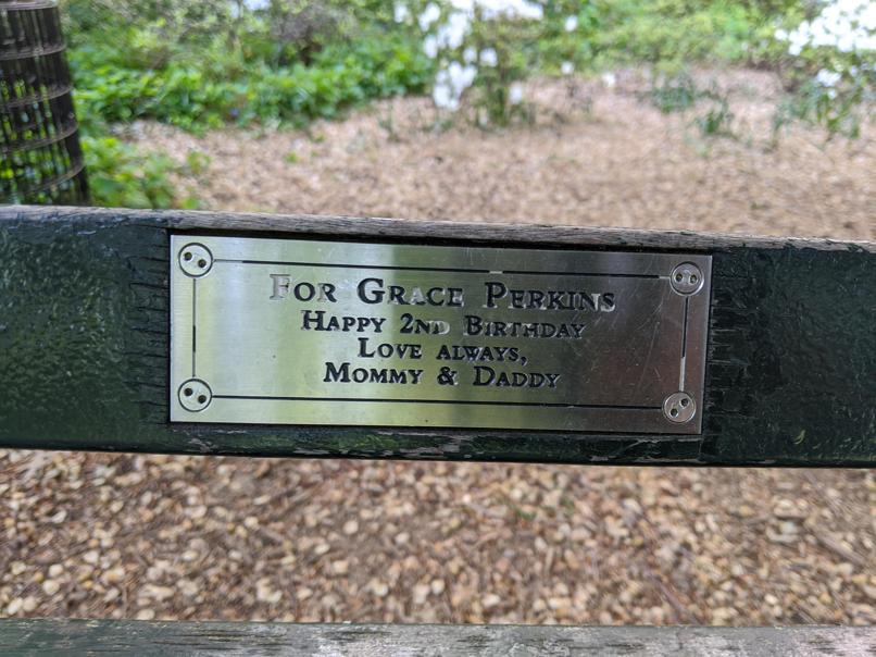 I saw this bench in Central Park