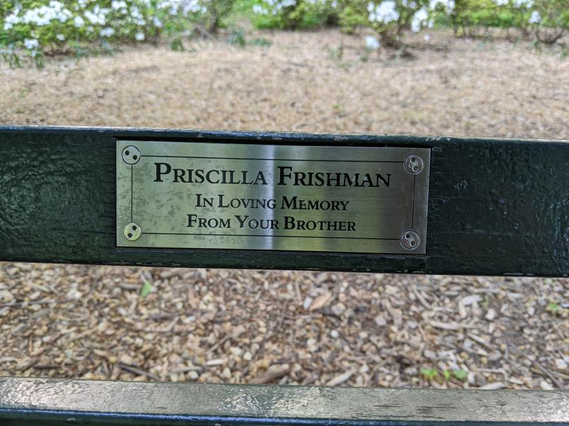 I saw this bench in Central Park