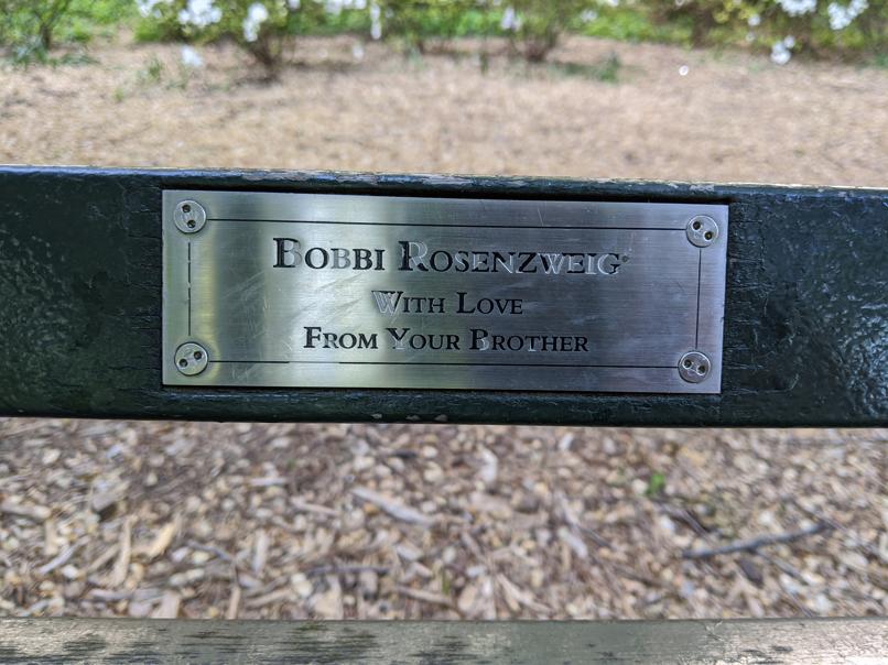 I saw this bench in Central Park