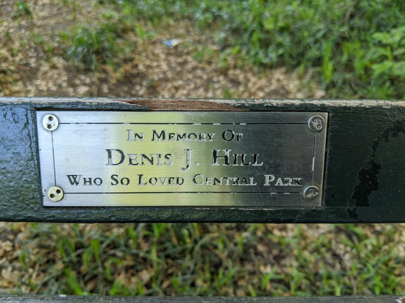 I saw this bench in Central Park