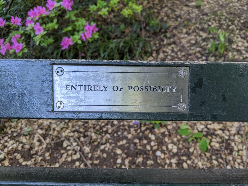 I saw this bench in Central Park