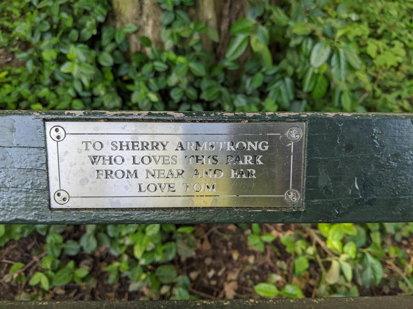 I saw this bench in Central Park